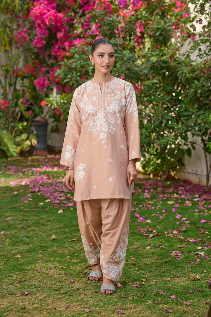 Clothes Brands in Pakistan – Where Tradition Meets Contemporary Fashion